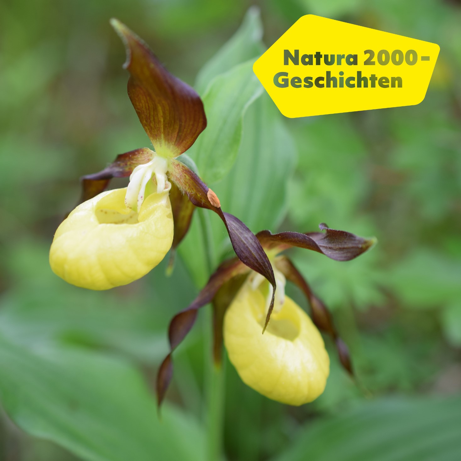 Natura 2000-Geschichten