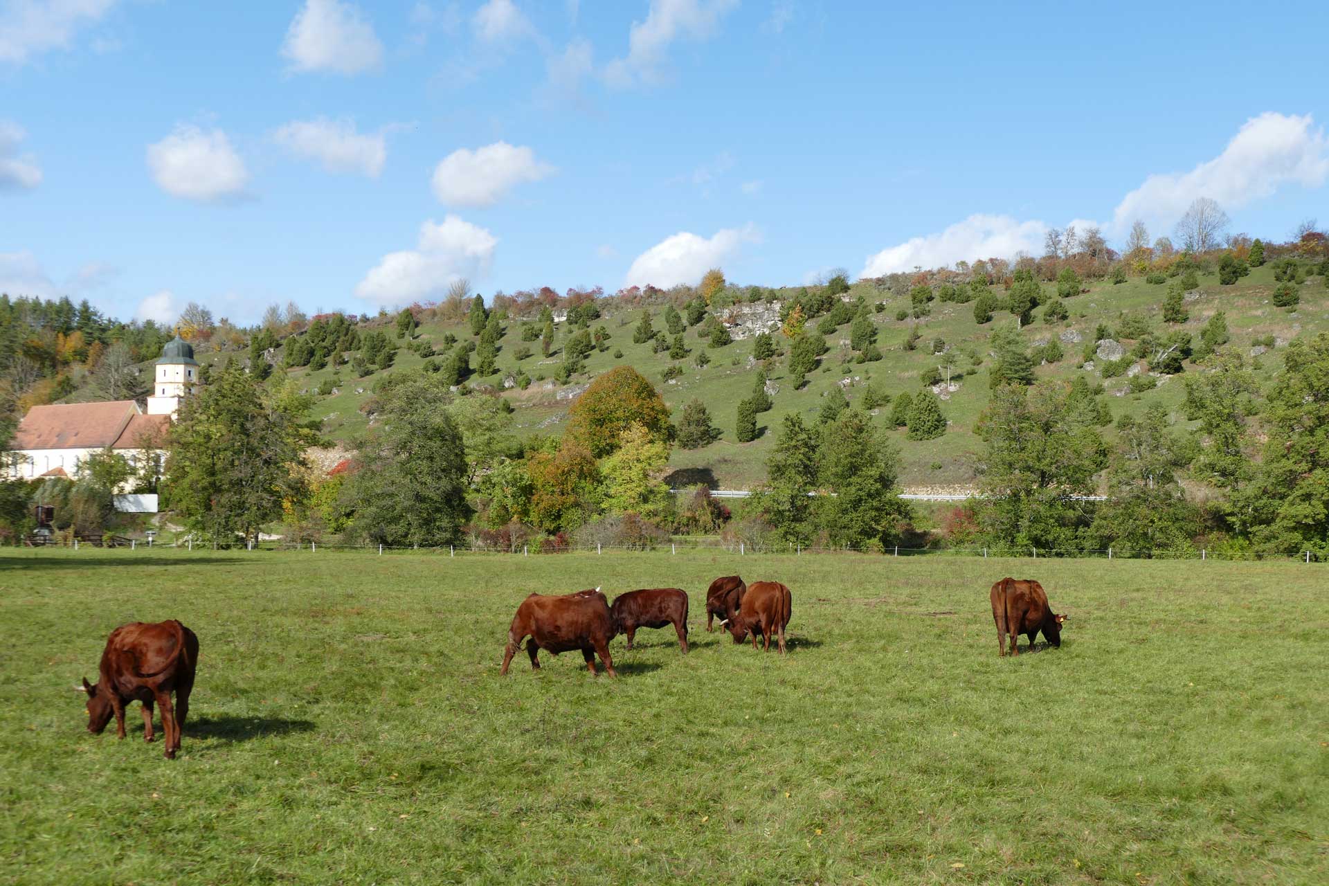 Landwirte Georg Lautenschlager und Rainald Erras aus Hohenburg: 3. Preis Kategorie Engagement