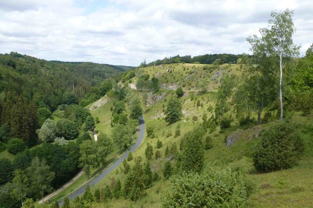 Ein grüner Hang, auf dem einzelne Bäume stehen fällt steil zu einer durch das Tal führenden Straße hinab.