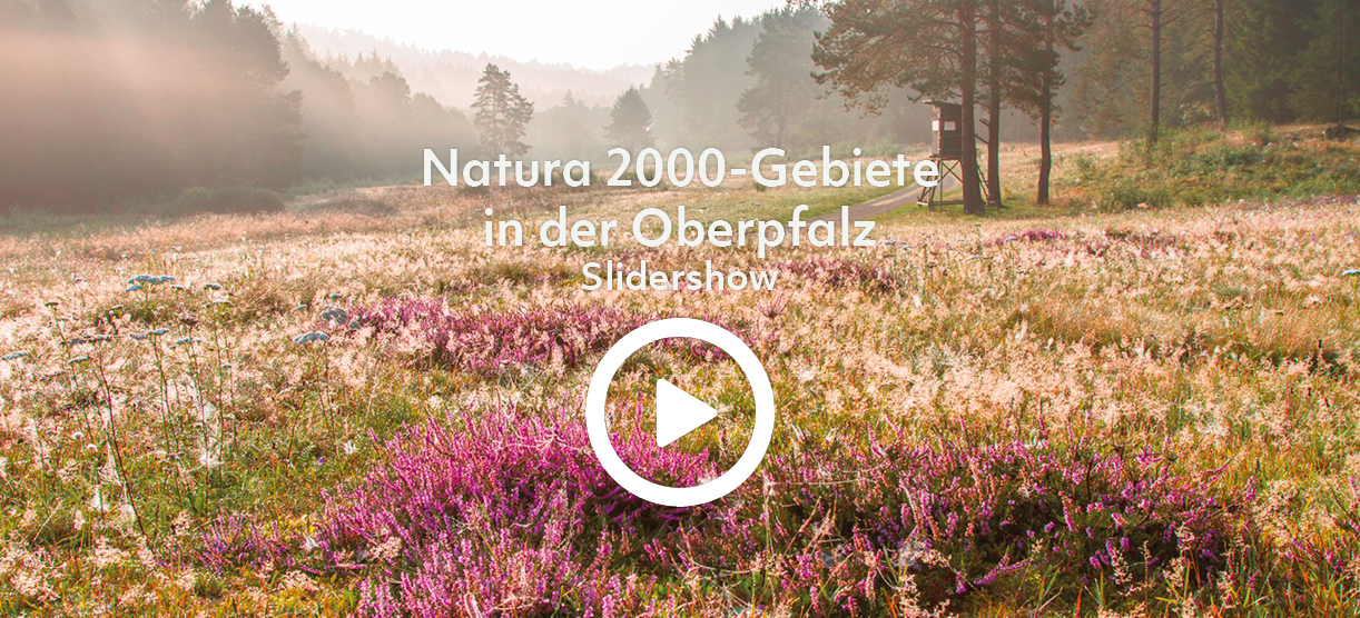 Slideshow Natura 2000-Gebiete in der Oberpfalz