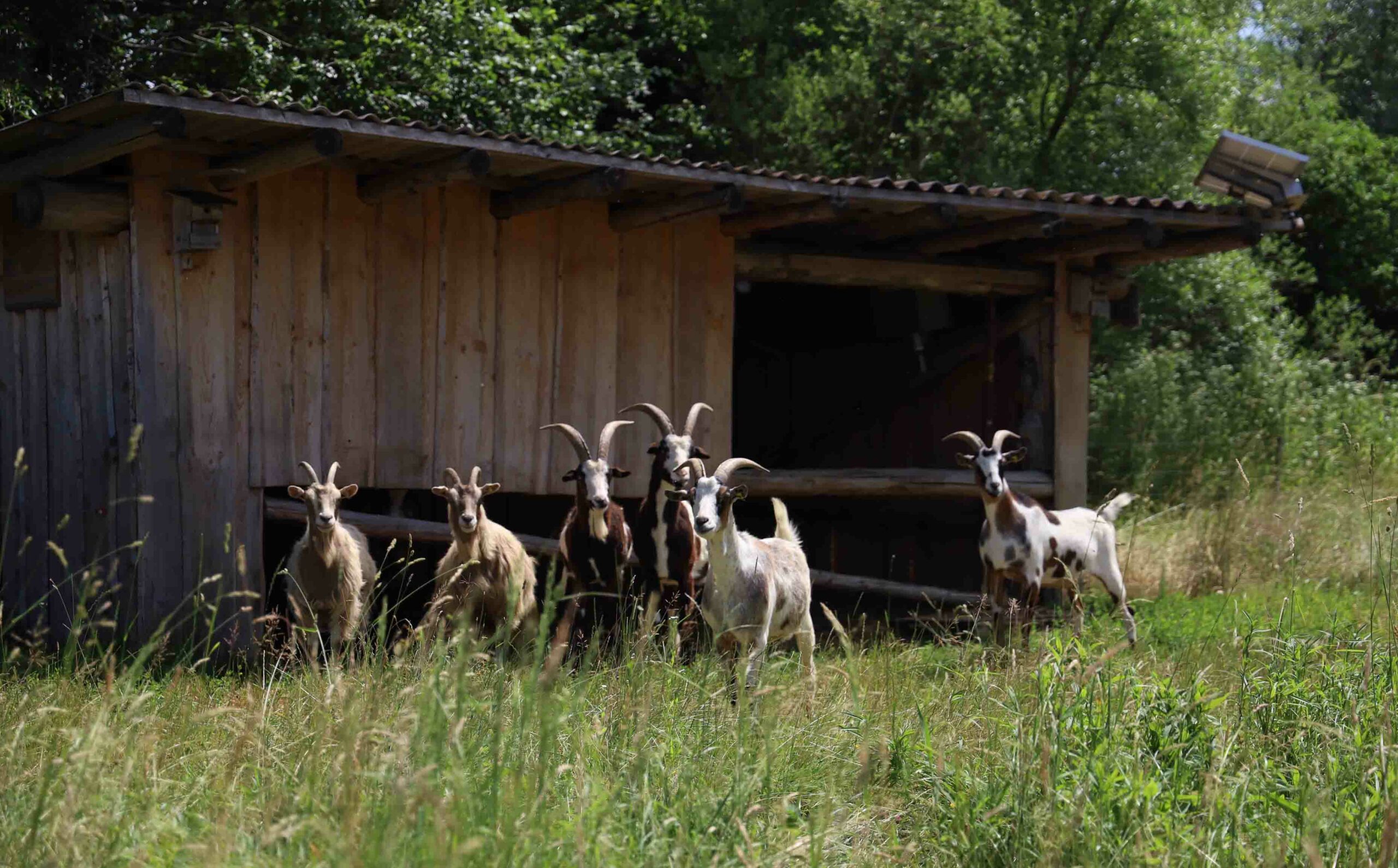 BUND Naturschutz in Bayern e. V., Kreisgruppe Mühldorf am Inn: 1. Preis Kategorie Engagement