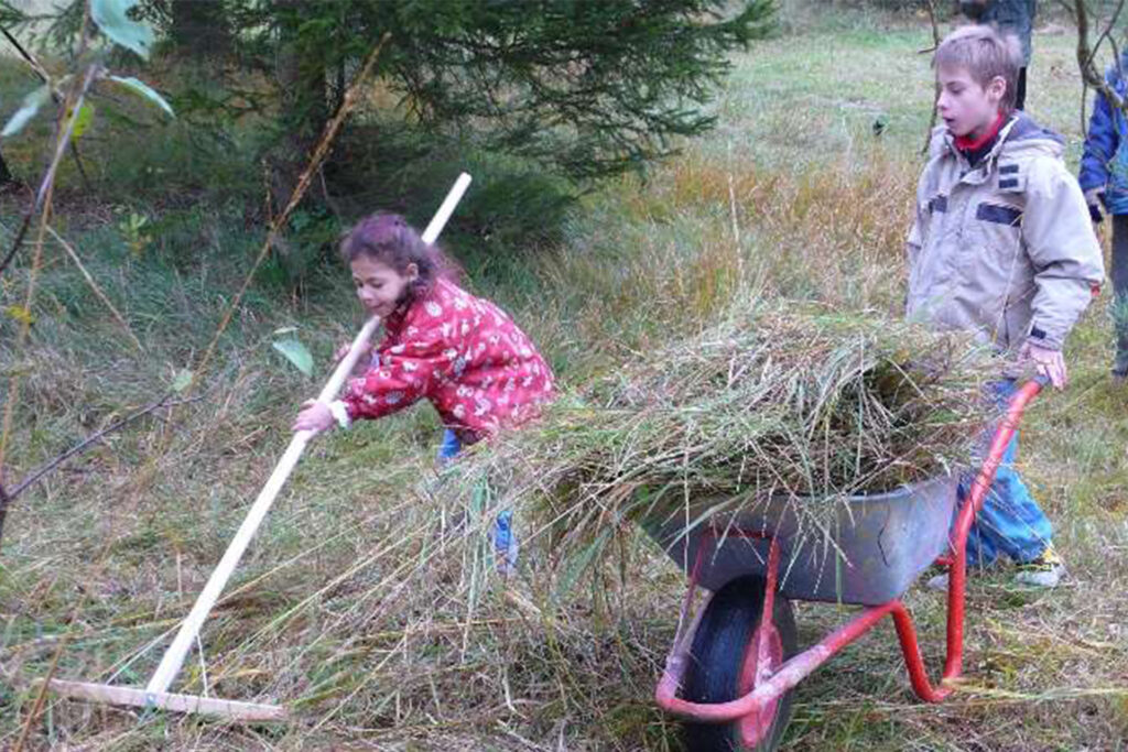 Kinder arbeiten mit Rechen und Schubkare auf der Wiese.