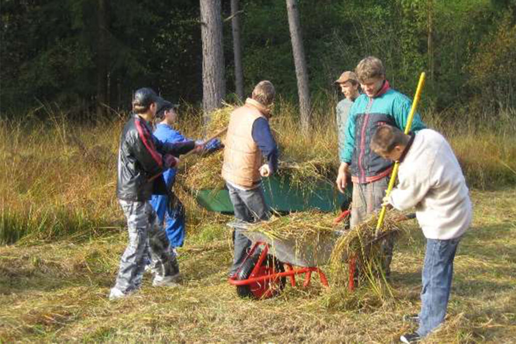 Kinder beladen zusammen eine Schubkarre mit gemähten Gras.