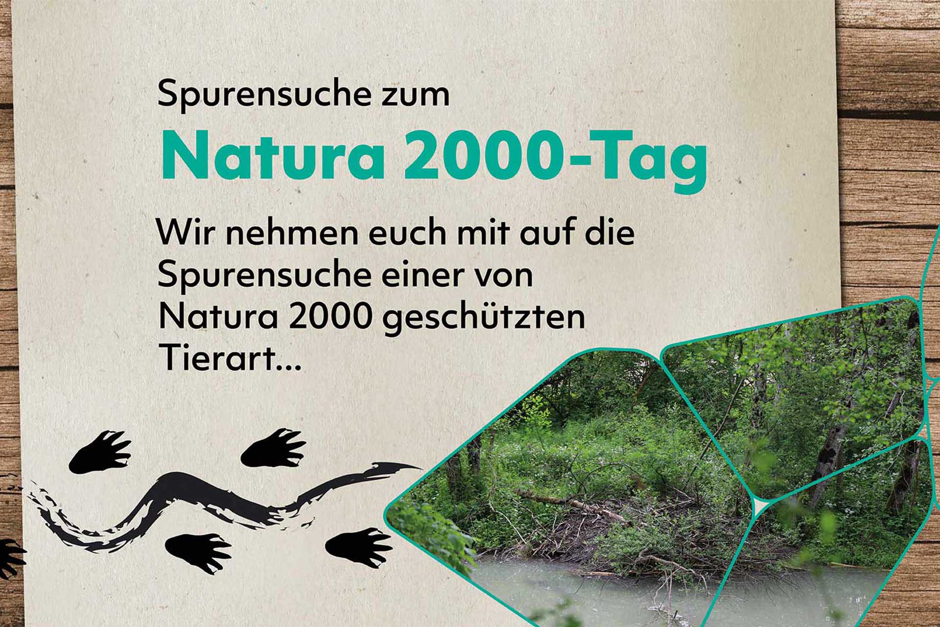 Ein Bachufer mit Biberburg, darüber die Aufschrift "Spurensuche zum Natura 2000-Tag. Wir nehmen euch mit auf die Spurensuche einer von Natura 2000 geschützten Tierart..."