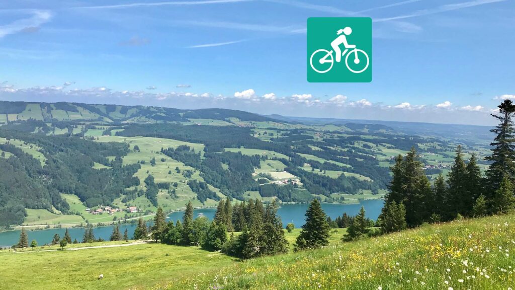 Von einem Hang aus blickt man hinunter auf den Alpsee.