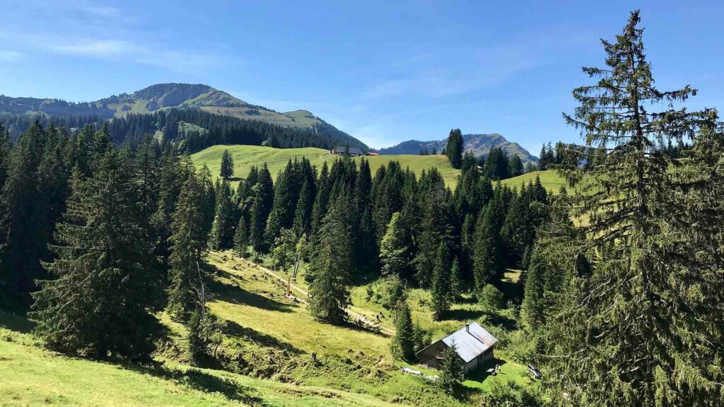 Hänge mit einzelnen Wäldern und Berge im Hintergrund