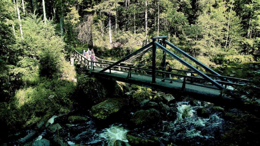 Eine Holzbrücke führt über einen Fluss in den Wals.