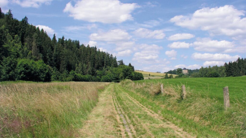 Blick auf weite Felder und Auen.