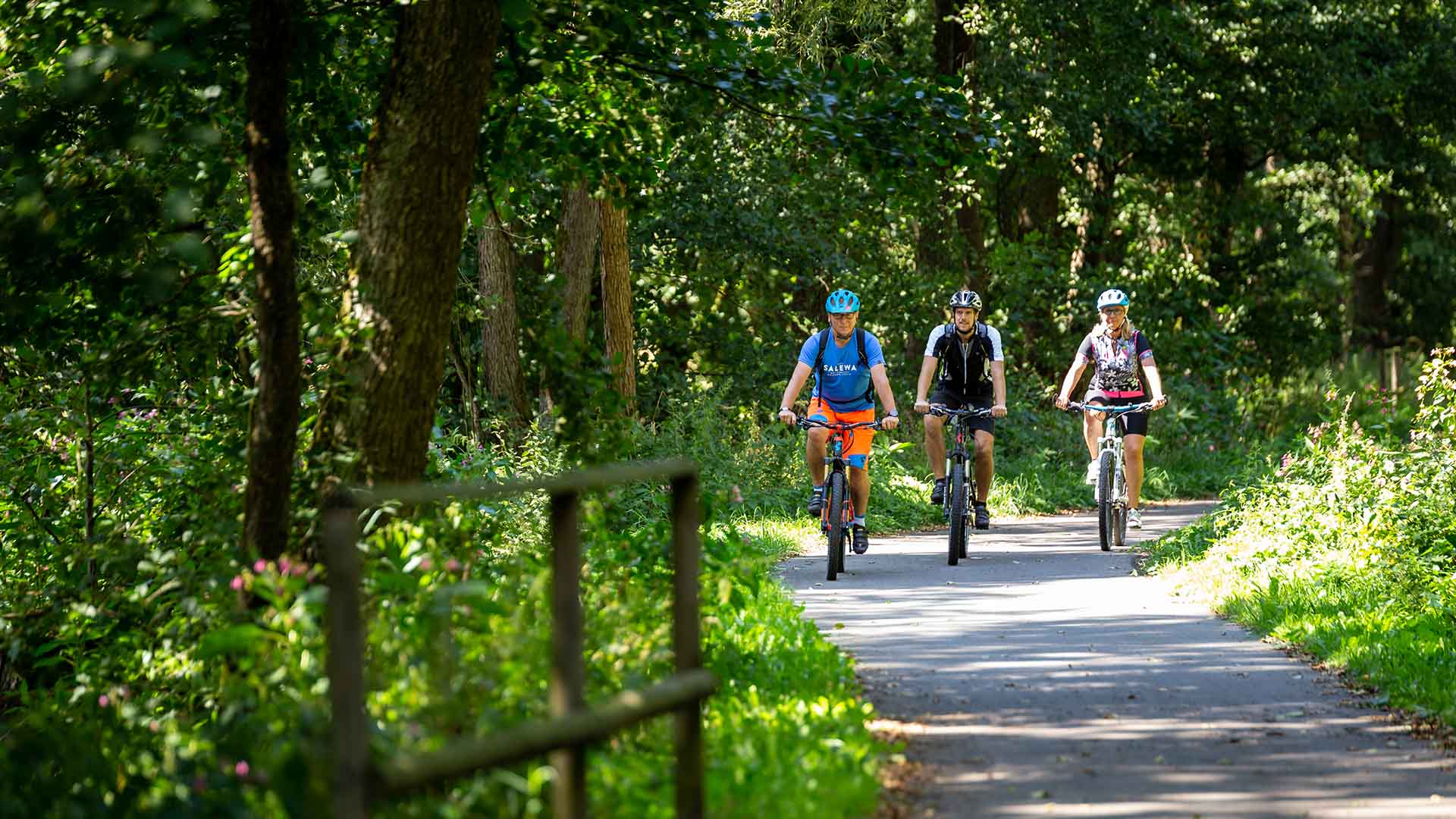 Drei Radfahrer fahren auf einem Weg durch den Wald.