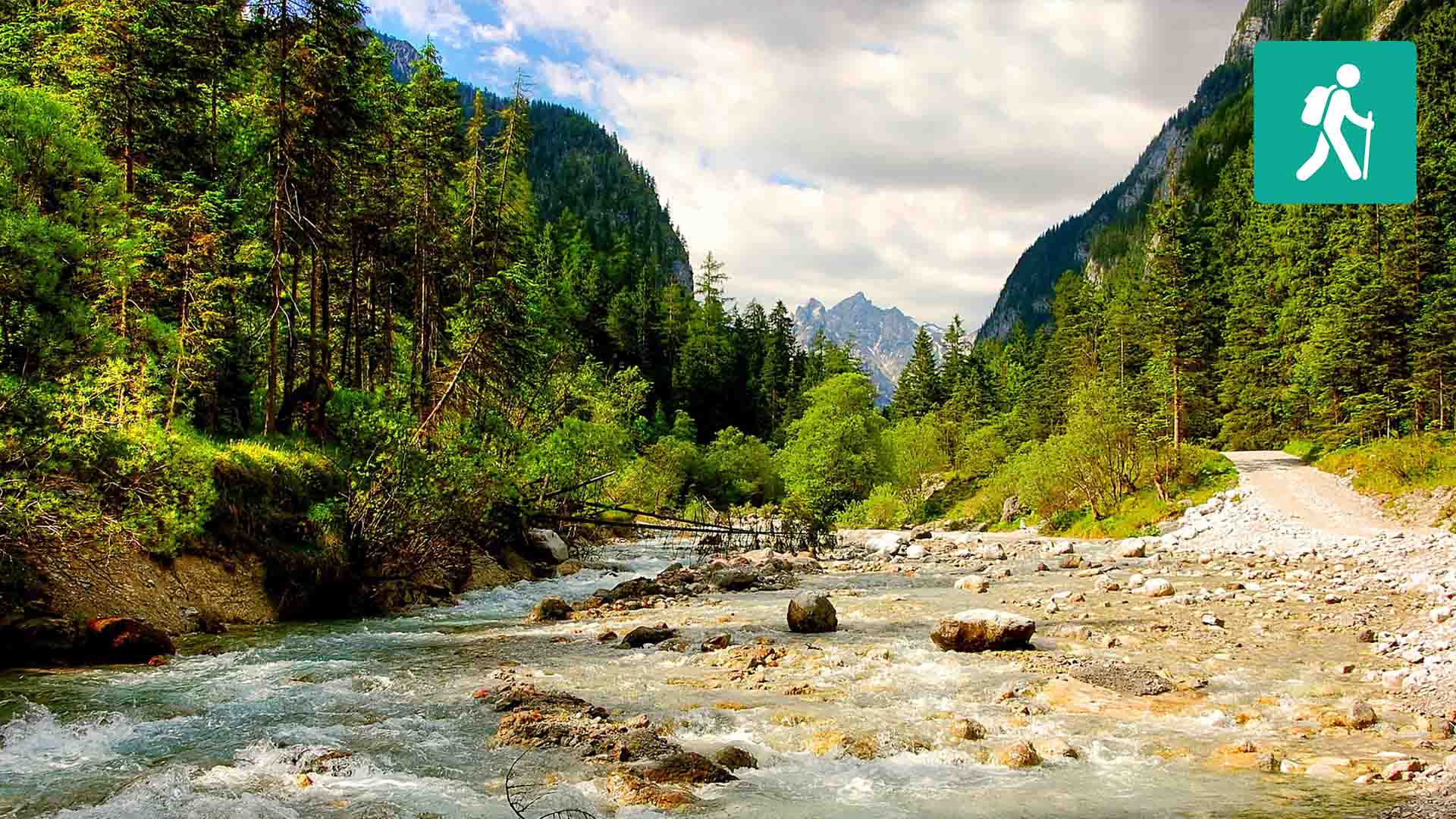 Ein Fluss fließt durch den Wald vor bewölktem Himmel.