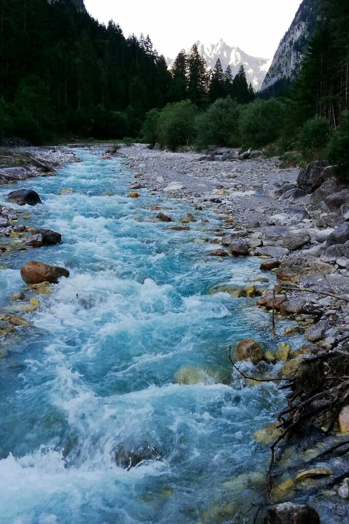 Bach mit Schotterflächen an den Uferbereichen und dahinterliegendem Wald.