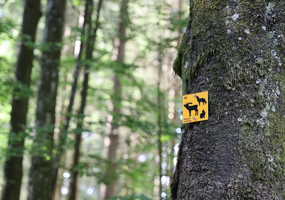 Gelbes Scjhild mit Tierumrissen hängt an einem alten Baum.