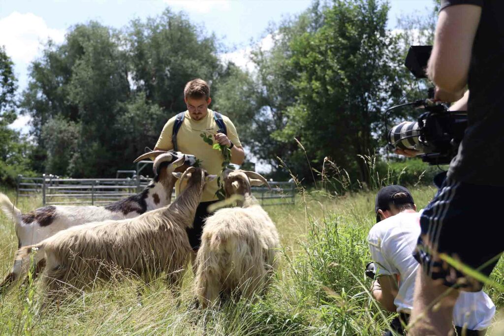 Die Tauernscheckenziegen der Mühldorfer Kiesgrube werden von einem Bund Naturschutz-Mitarbeiter gefüttert.