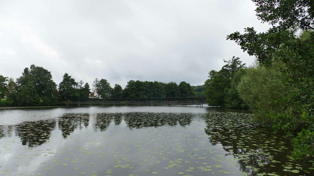 Ein Weiher ist am Ufer von Bäumen und Wäldern umgeben.