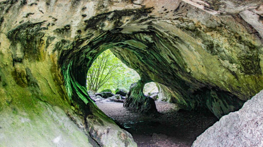 In einer Höhle fällt der Blick nach außen auf mehrere Baumkronen.