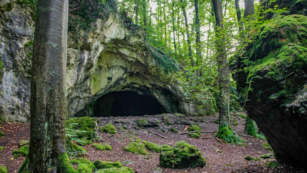 Zwischen Bäumen und laubbedecktem Boden liegt der Eingang zu einer Höhle.