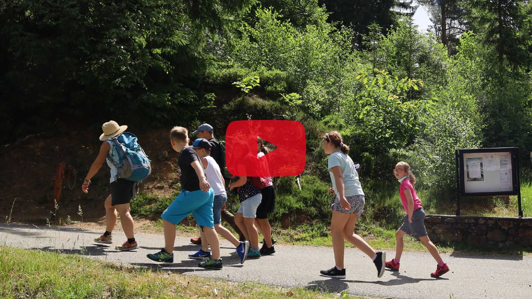 Eine Schulklasse wandert im Natura 2000-Gebiet am Silberberg in Bodenmais.