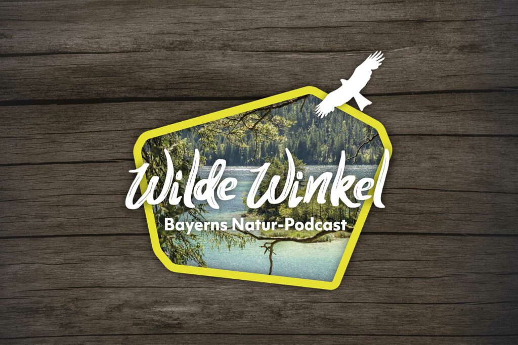 Logo des Podcasts Wilde Winkel