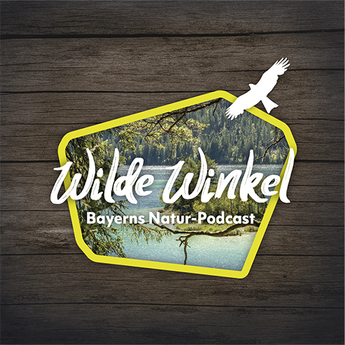 Natura 2000-Podcast: Entdeckungstour zu „Wilde Winkel“!