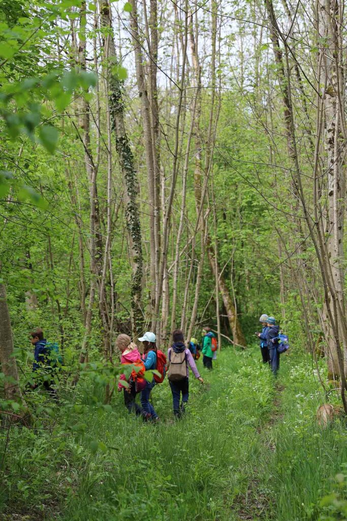 Die Schulklasse geht durch den Wald und nimmt Vogelstimmen auf.