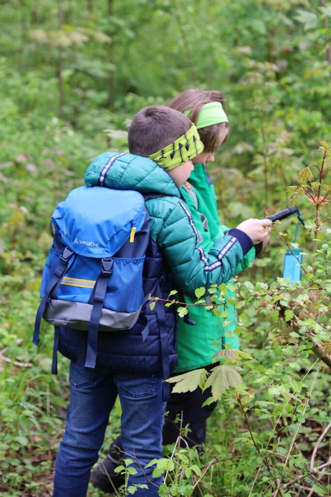 Zwei Schüler nehmen Vogelstimmen mit dem Tablet im Wald auf.