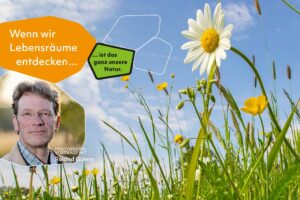 WWW_WebseiteBilder_1920x1280 WunderWeltWiese in Schwaben