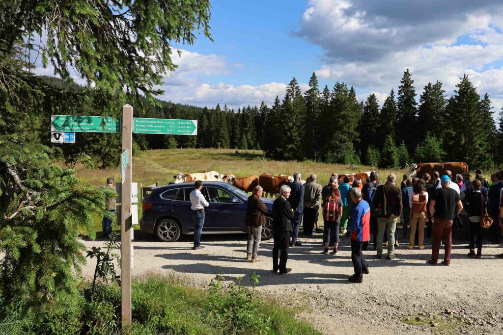 Die Teilnehmerinnen und Teilnehmer des Festakts 20 Jahre Gebietsbeutreuung in Niederbayern am Großen Arber machen eine Exkursion zu den Schachtenweiden.