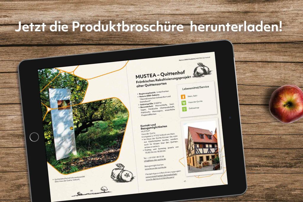 Draufsicht auf ein Tablet dessen Bildschirm die Webbroschüre zeigt.