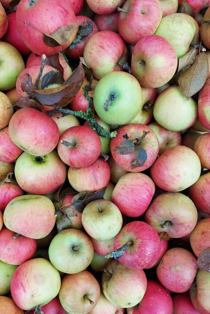 Draufsicht auf eine Kiste mit reifen Äpfeln.