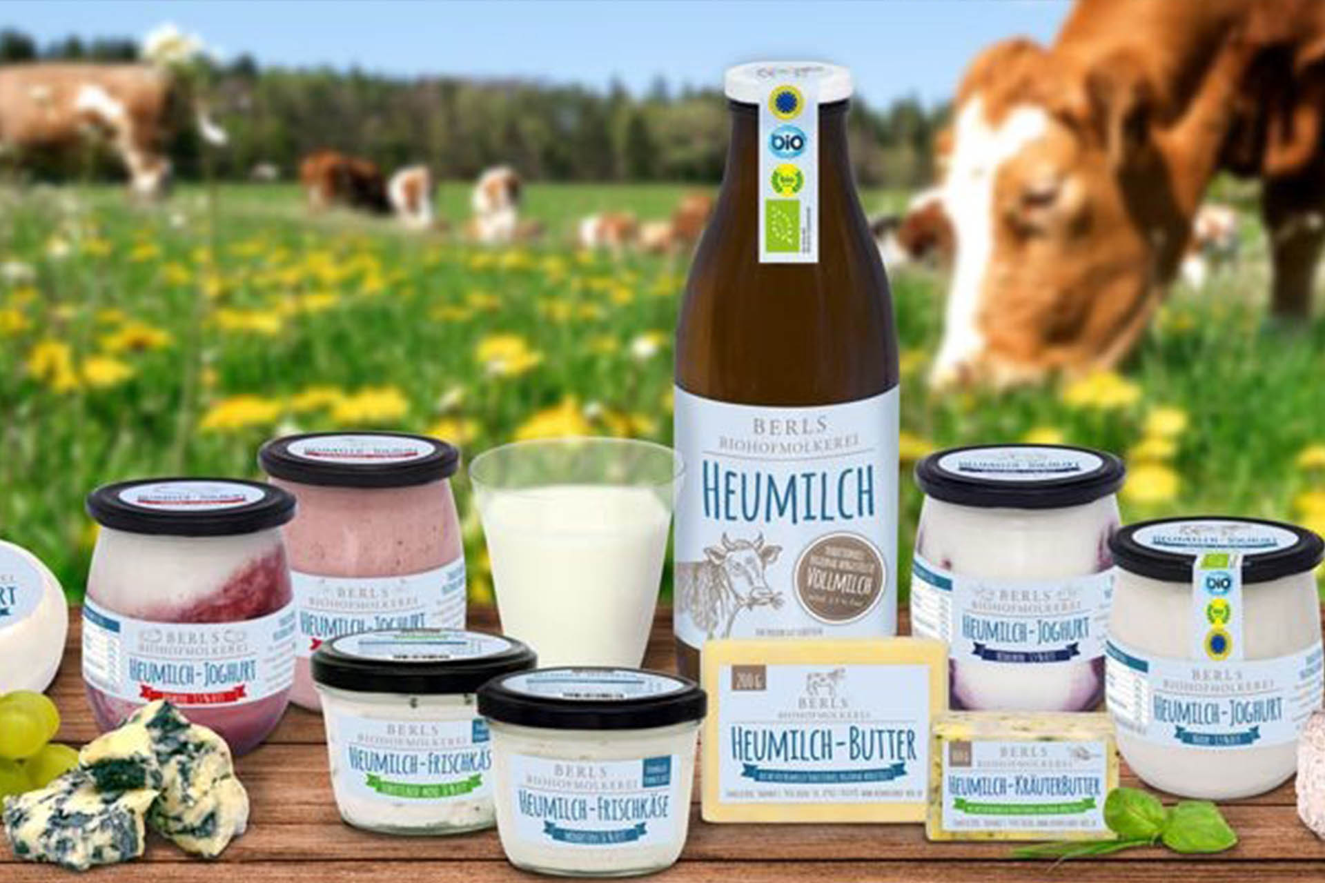 Übersicht über die Biomilch Berl-Produkte - zu sehen sind Heumilch, Heumilchjogurt- sowie Käse und Butter.