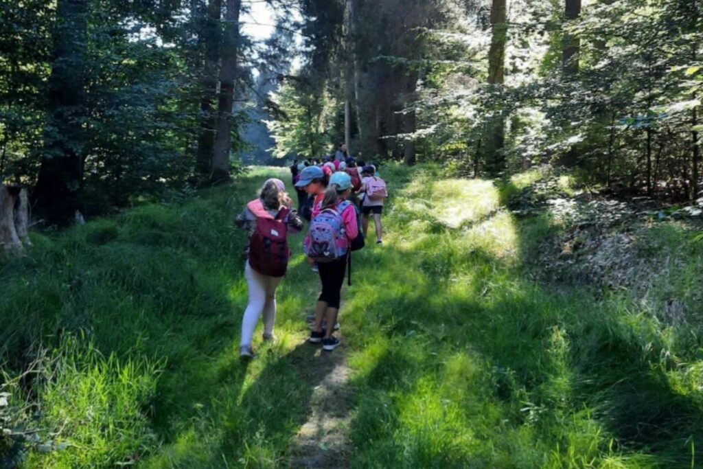 Alternative Bildbeschreibung: Kinder gehen entlang eines schmalen Pfades durch den Wald.