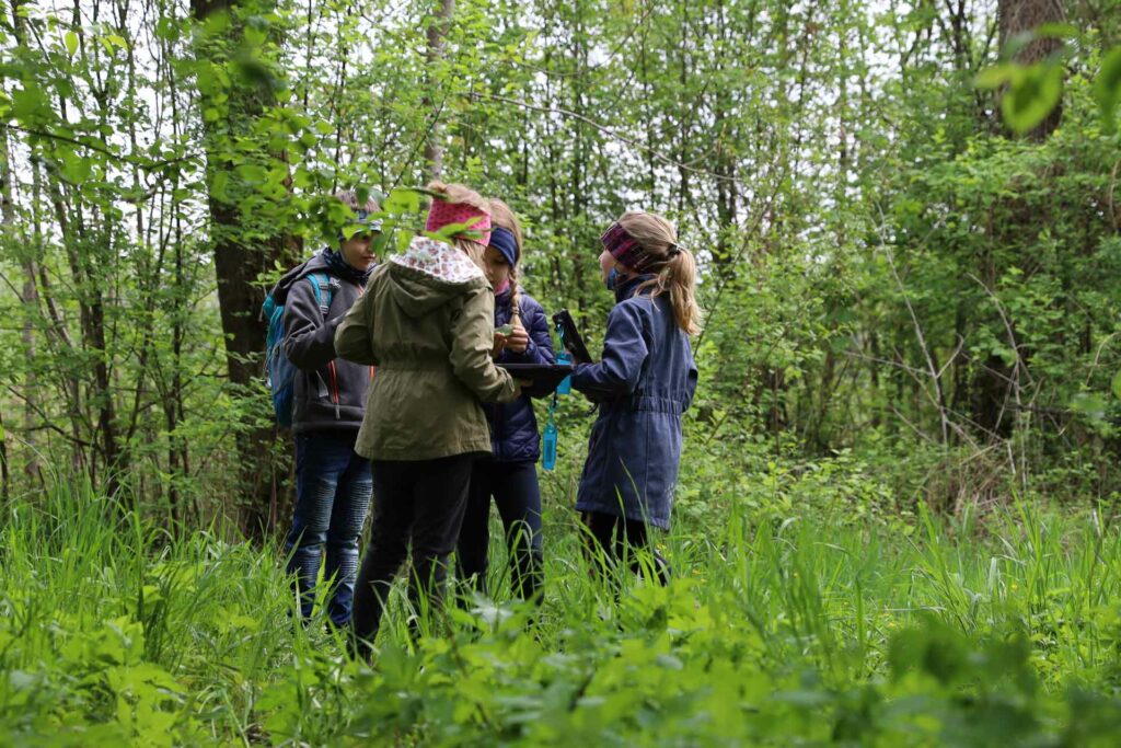 Kinder stehen in einer Gruppe und blicken auf Tablets und einen Papierbogen. Die Lehrerin steht bei ihnen im Wald.