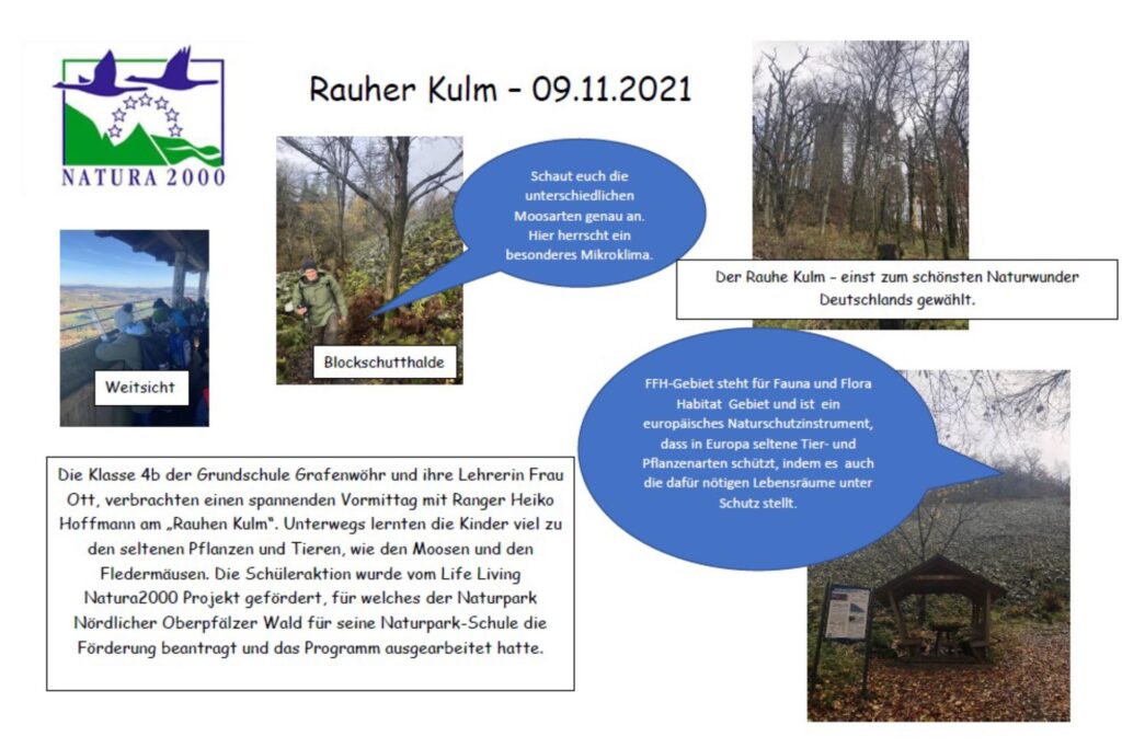 Weißes Poster mit Fotos vom Ausflug, Texten und dem Natura 2000-Logo.