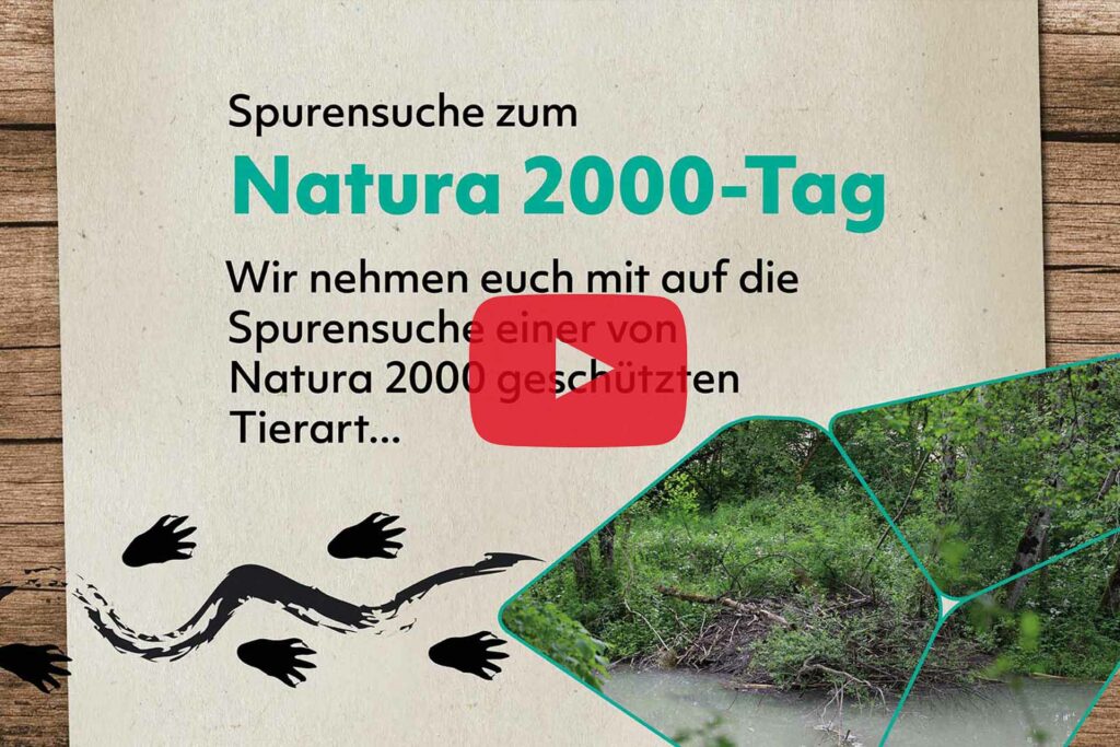 Titelbild des Videos Spurensuche zum Natura 2000-Tag.