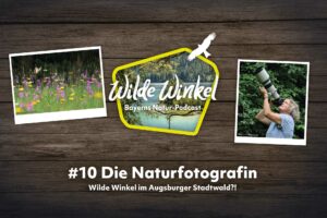 Titelbild: Wilde Winkel im Augsburger Stadtwald?! Die Naturfotografin (10. Folge)