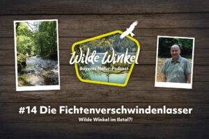 Titelbild: Wilde Winkel im Ilztal?! Die Fichtenverschwindenlasser (14. Folge)