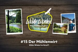 Titelbild: Wilde Winkel im Ilztal?! Der Mühlenwirt (15. Folge)