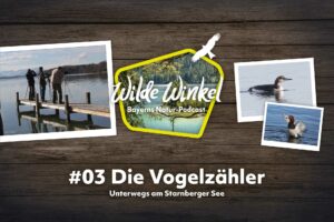 Titelbild Podcast Wilde Winkel Bayerns Natur-Podcast: 3. Folge Die Vogelzähler