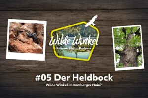 Titelbild Folge 5 Wilde Winkel Bayerns Natur-Podcast