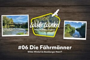 Titelbild: Wilde Winkel im Bamberger Hain?! Die Fährmänner (6. Folge)