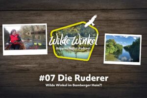 Titelbild Wilde Winkel im Bamberger Hain?! Die Ruderer (7. Folge)