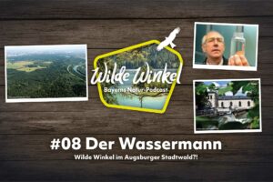 Titelbild: Wilde Winkel im Augsburger Stadtwald?! Der Wassermann (8. Folge)