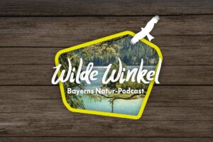 Titelbild: Wilde Winkel Bayerns Natur-Podcast. Hinter dem Schriftzug sieht man ein Foto auf dem Eibsee.