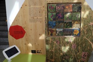 Blick auf eine Holzstele der Wanderausstellung Ganz meine Natur.