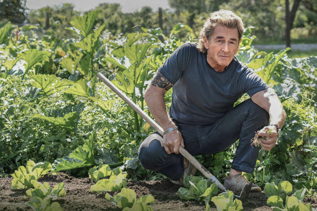 Peter Maffay kniet in einem Gemüsebeet umringt von grünen Pflanzen.