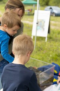 Eine Familie steht um ein Aquarium mit Kaulquappen.