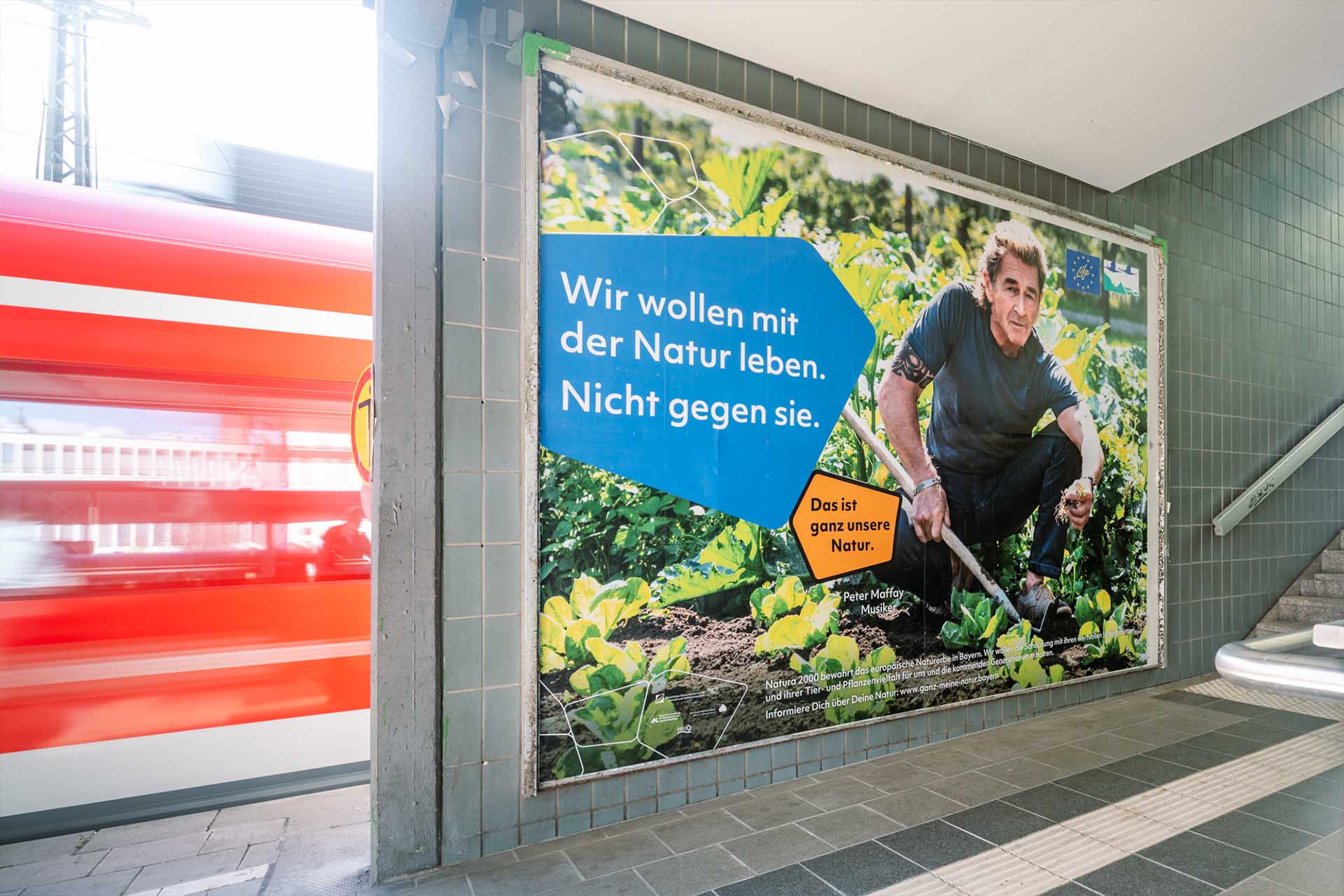 Großflächen Plakat von Natura 2000-Botschafter Peter Maffay in München.